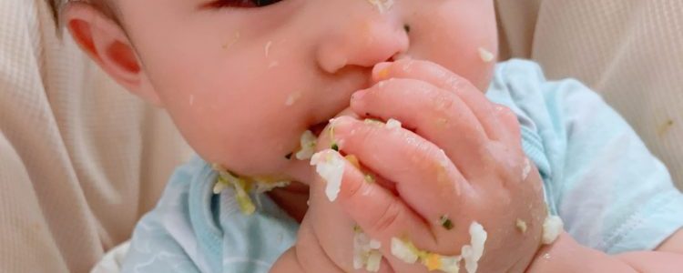 2023年12月　【個別60分】離乳食・幼児食オンライン相談